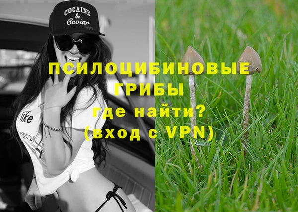 кокс Абдулино